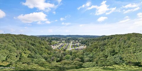 Tiny photo for 211 Jason Hovater Way, Clinton, TN 37716 (MLS # 1315722)