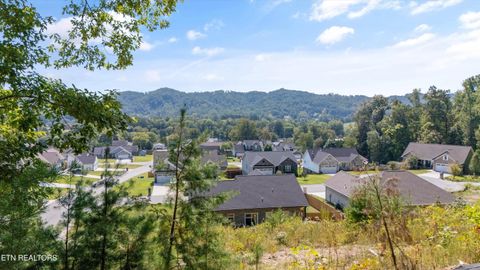 Tiny photo for 211 Jason Hovater Way, Clinton, TN 37716 (MLS # 1315722)