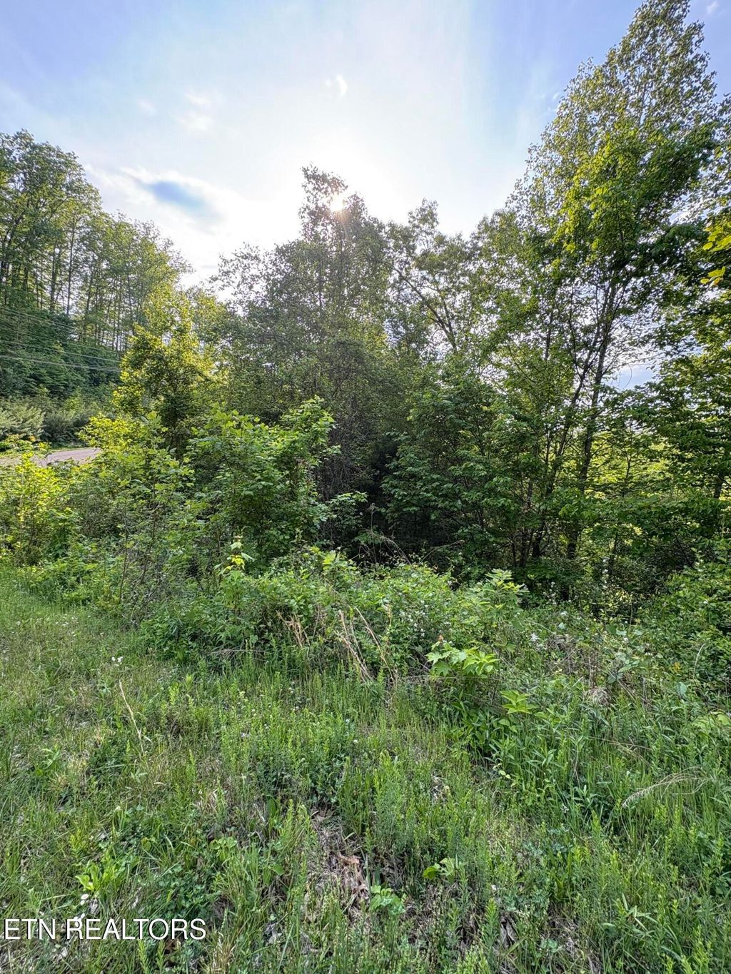 Photo of 29 Saddleridge Drive, Speedwell, TN 37870 (MLS # 1338083)