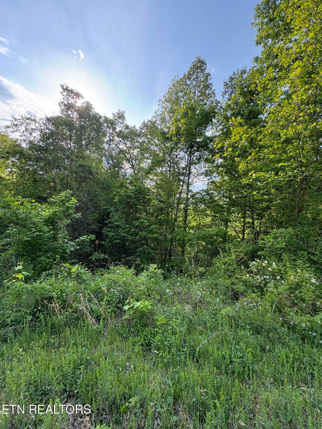 Photo of 29 Saddleridge Drive, Speedwell, TN 37870 (MLS # 1338083)