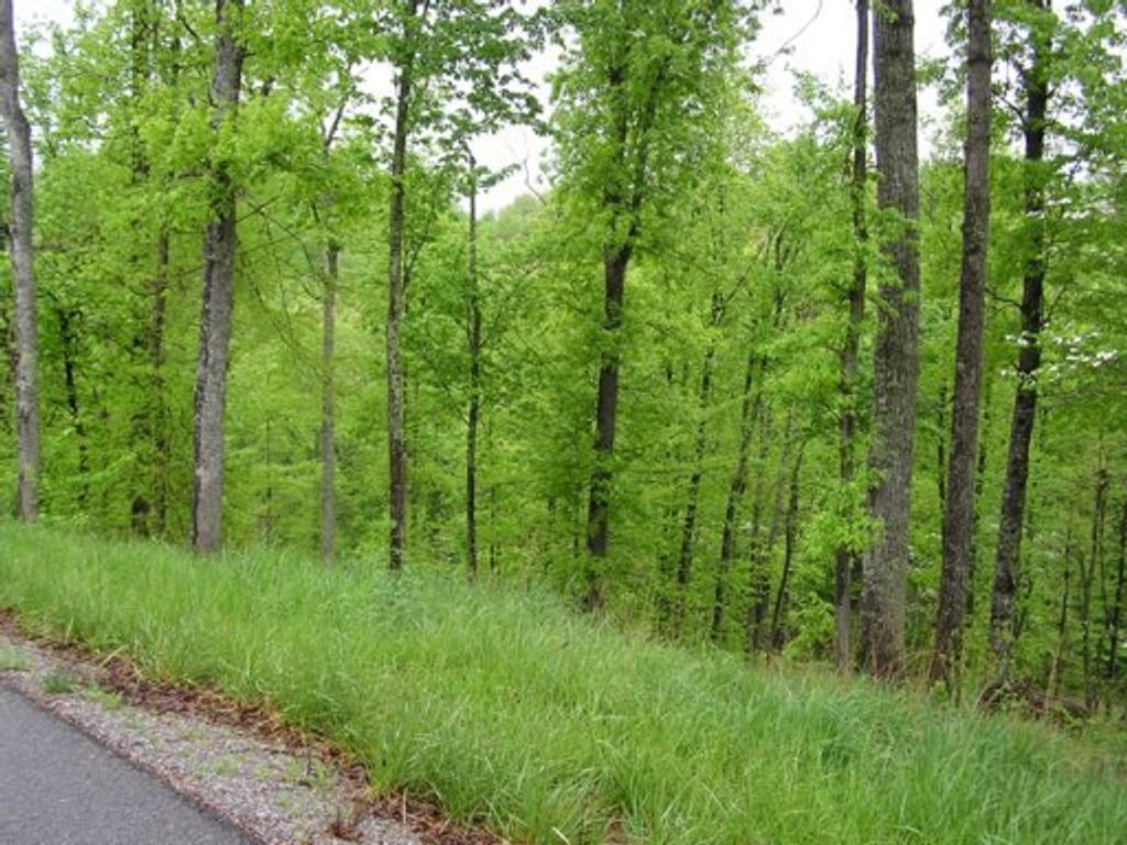 Photo of 29 Saddleridge Drive, Speedwell, TN 37870 (MLS # 1338083)