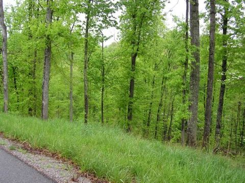 Photo of 29 Saddleridge Drive, Speedwell, TN 37870 (MLS # 1338083)