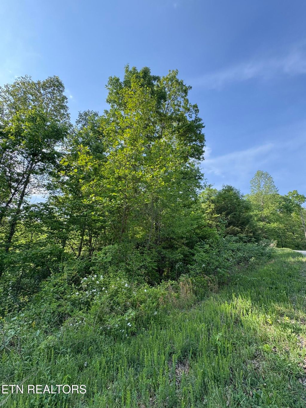 Photo of 29 Saddleridge Drive, Speedwell, TN 37870 (MLS # 1338083)