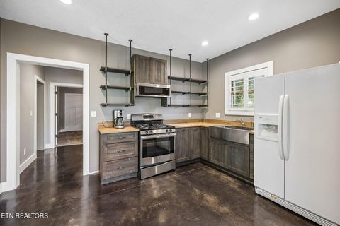 Tiny photo for 4451 Forrest Ridge Drive, Louisville, TN 37777 (MLS # 1341128)