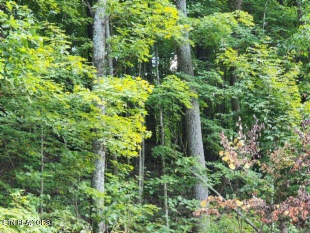 Photo of 41 Apache Rd, Jamestown, TN 38556 (MLS # 1323970)