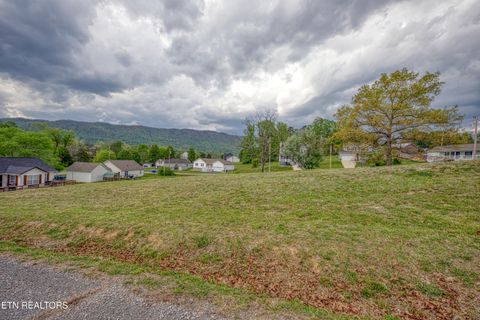 Tiny photo for 1103 Earnhardt Lane, LaFollette, TN 37766 (MLS # 1337853)