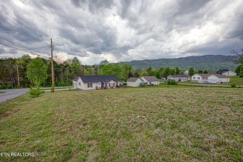 Tiny photo for 1103 Earnhardt Lane, LaFollette, TN 37766 (MLS # 1337853)