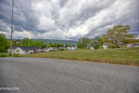 Tiny photo for 1103 Earnhardt Lane, LaFollette, TN 37766 (MLS # 1337853)