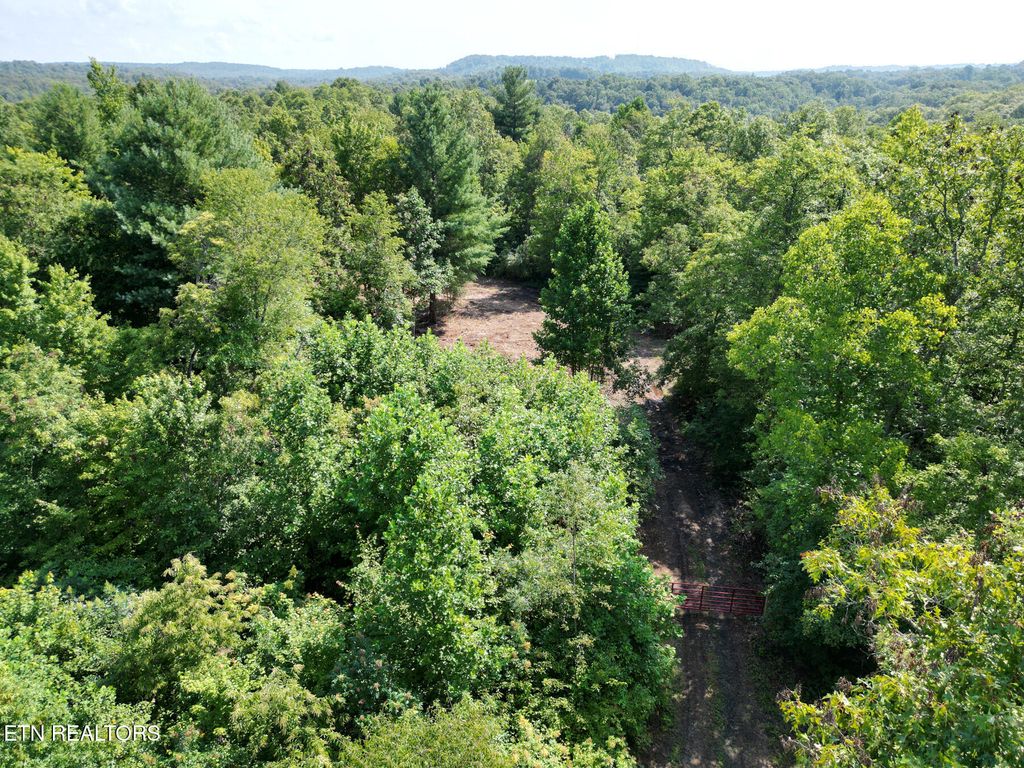 Photo of 000 Sheep Ranch Rd., Robbins, TN 37852 (MLS # 1326494)
