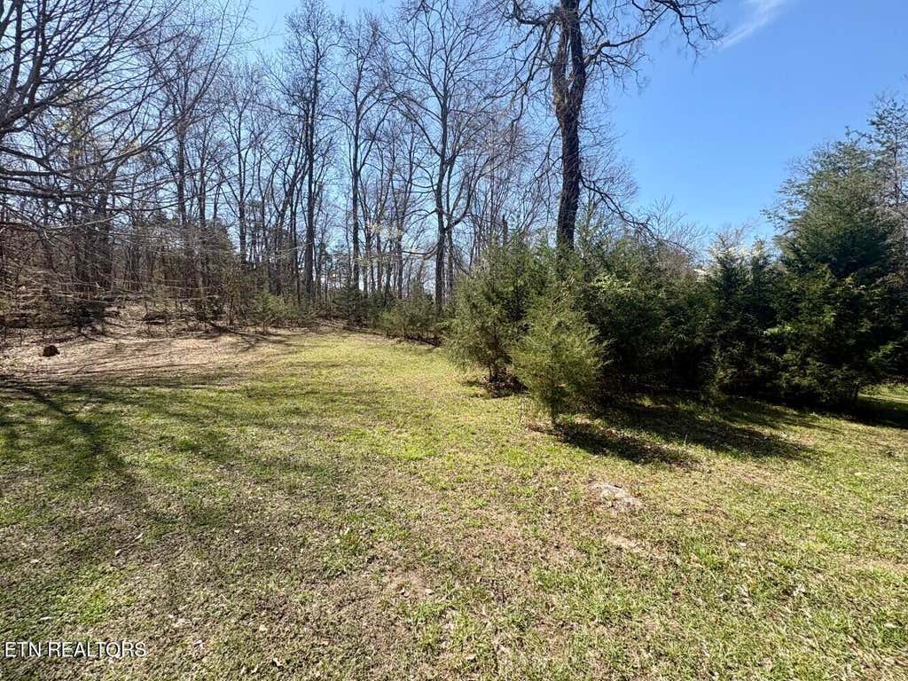 Photo of 456 Geisler Rd, Piney Flats, TN 37686 (MLS # 1348008)