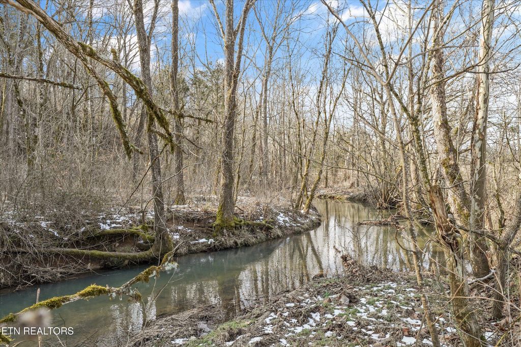 Photo of 1333 Cherry St, Rutledge, TN 37861 (MLS # 1328880)