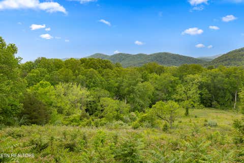 Tiny photo for 212 Poppy Hill Lane, LaFollette, TN 37766 (MLS # 1346509)