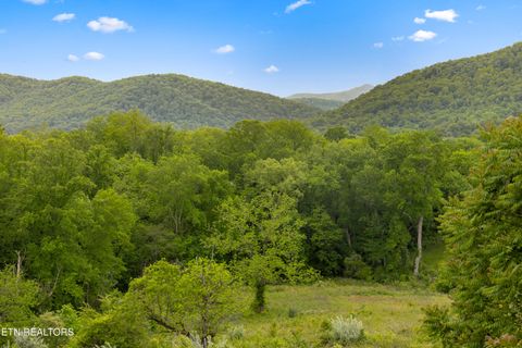Tiny photo for 212 Poppy Hill Lane, LaFollette, TN 37766 (MLS # 1346509)