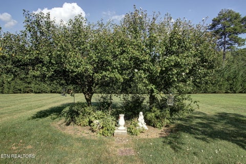 Tiny photo for 3726 Cherrylog Rd, Knoxville, TN 37921 (MLS # 1356448)