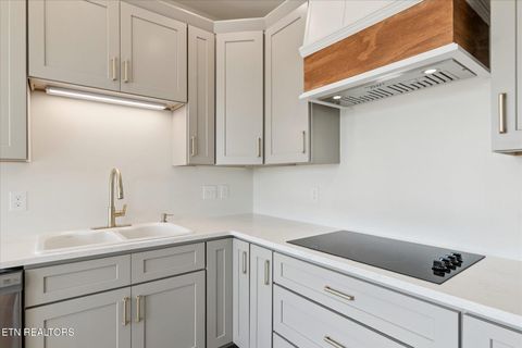 Tiny photo for 3019 Bridgewater Blvd, Morristown, TN 37814 (MLS # 1342700)