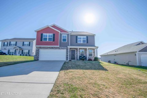 1245 Cole Drive Talbott TN 37877