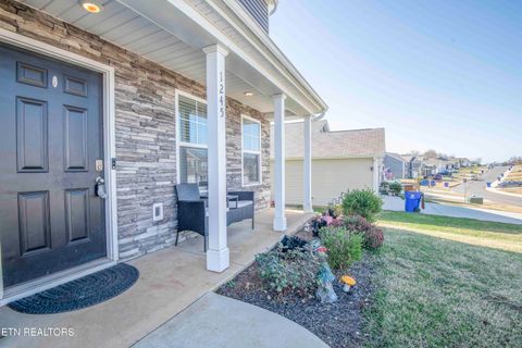 1245 Cole Drive Talbott TN 37877