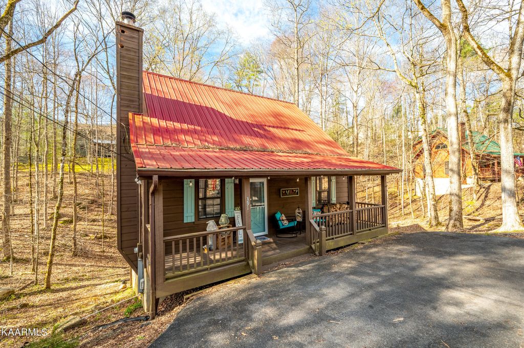 Photo of 391 Laurel Rd, Townsend, TN 37882 (MLS # 1221514)