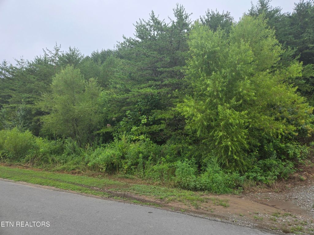 Photo of Marina Landing Rd, Tazewell, TN 37879 (MLS # 1312979)