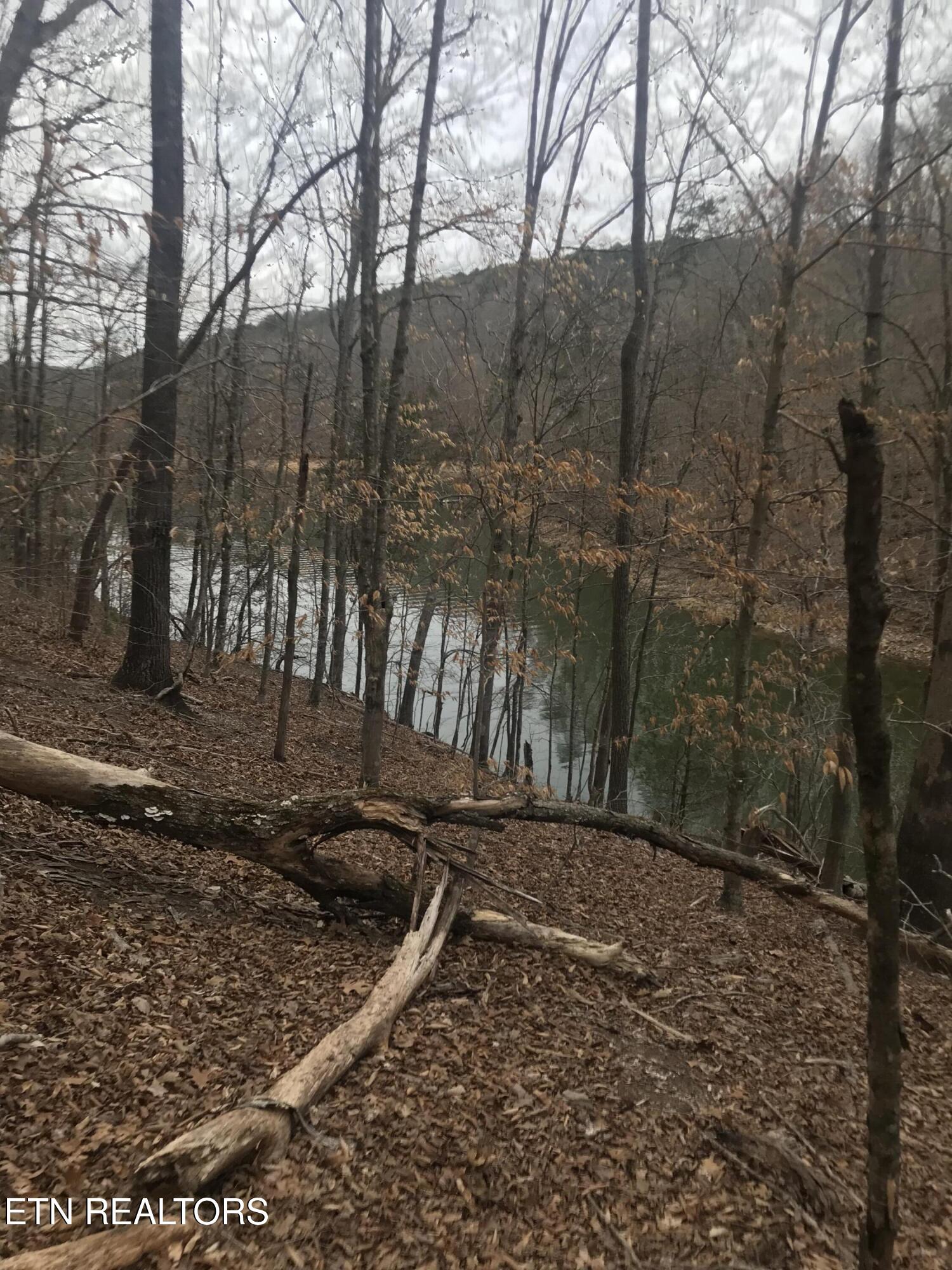 Cheri Ln Lot 65