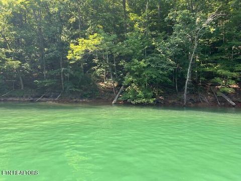 Cheri Ln Lot 65 Caryville TN 37714