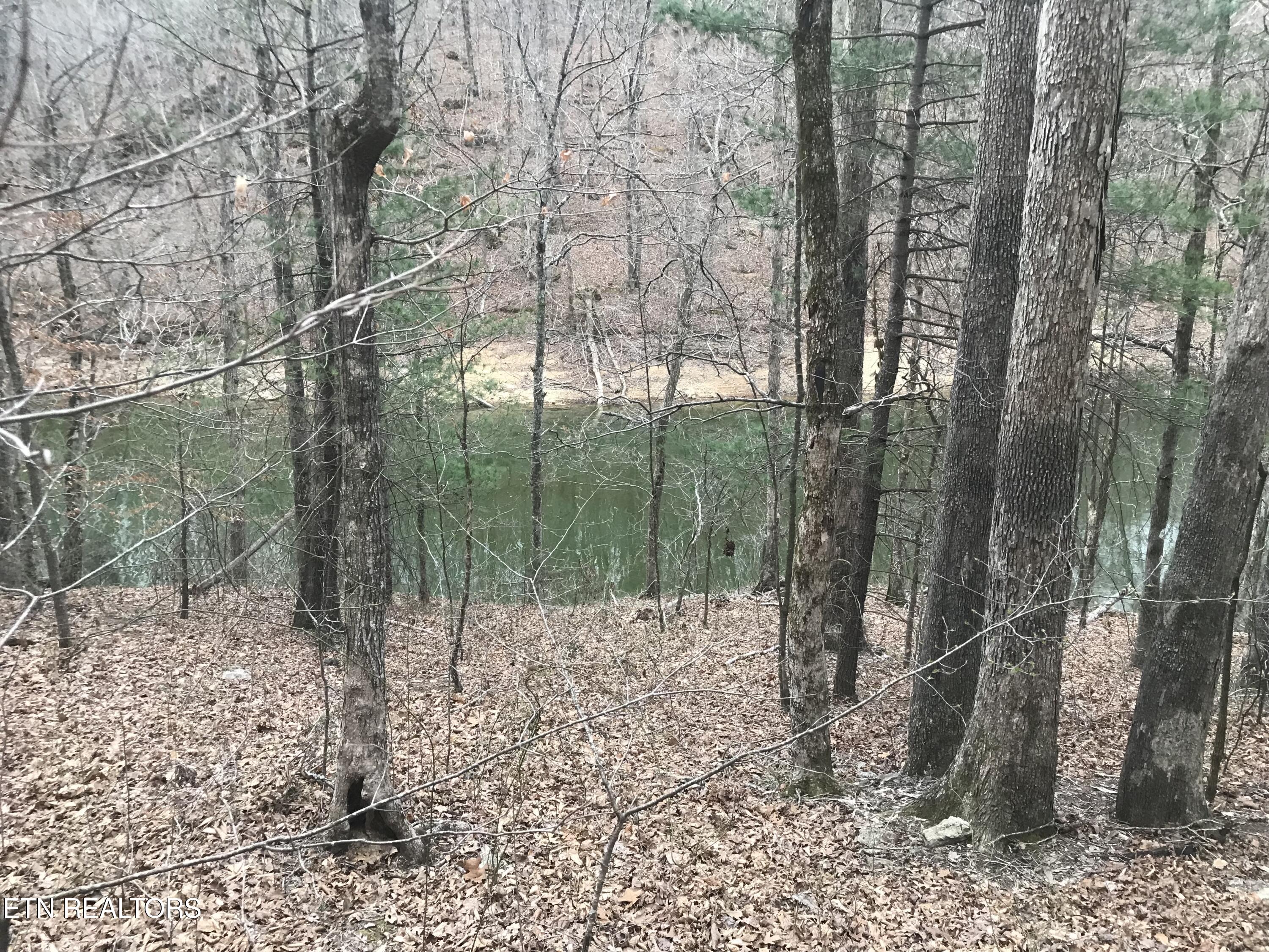 Cheri Ln Lot 65