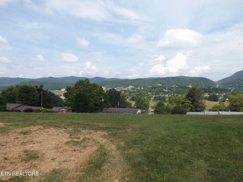 Tiny photo for 262 OXFORD Circle, Harrogate, TN 37752 (MLS # 1324114)