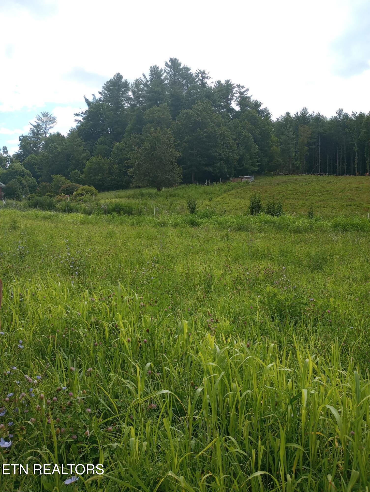 14135 W Hwy 67 (30.82 acres)