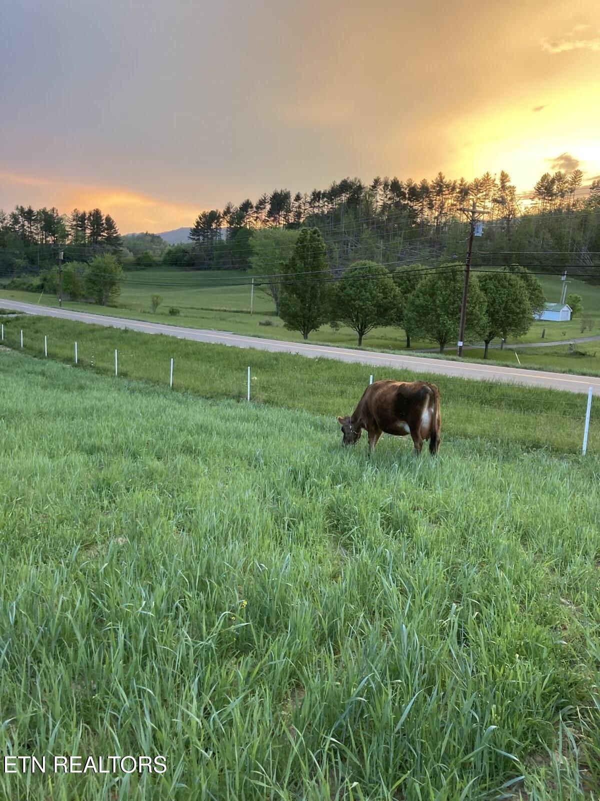 14135 W Hwy 67 (30.82 acres)