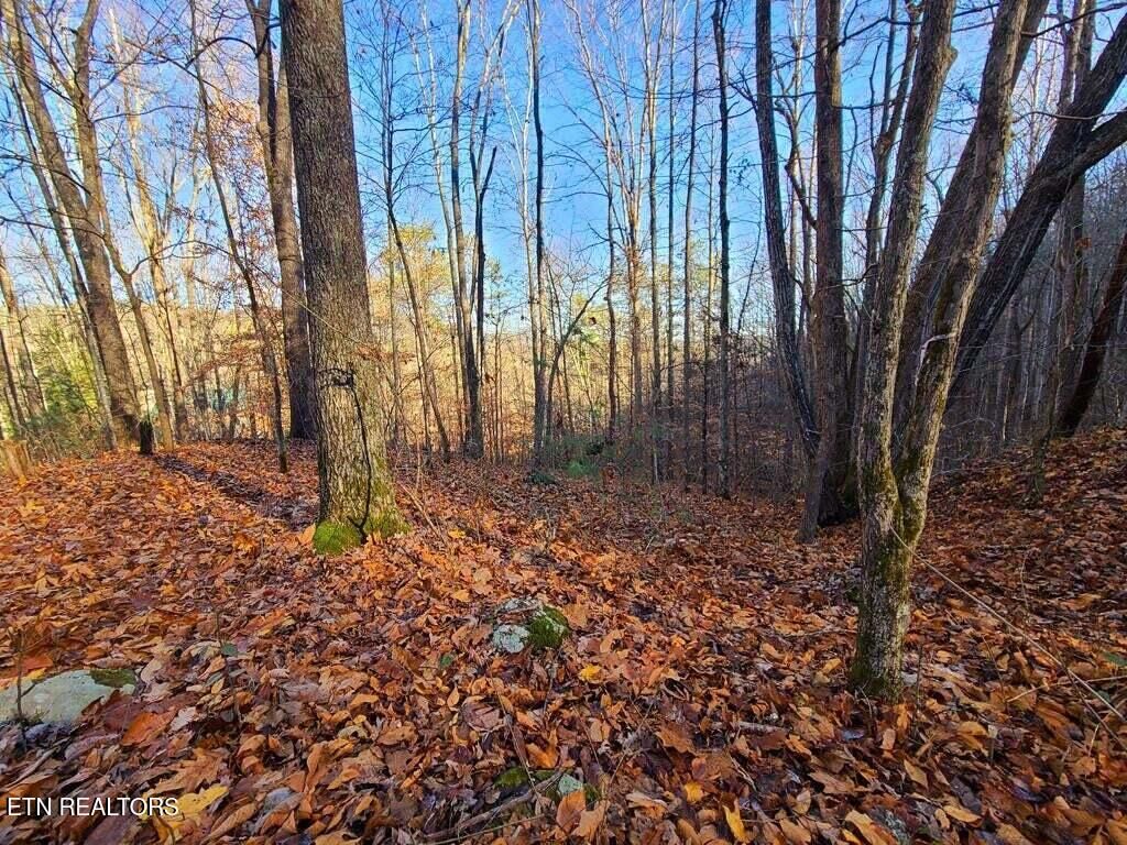 Photo of 9 Walden Flats Way, Sevierville, TN 37862 (MLS # 1288988)