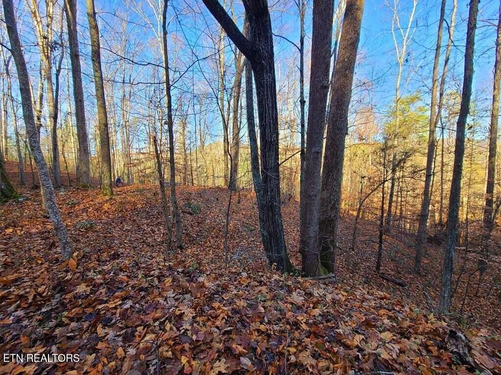 Photo of 9 Walden Flats Way, Sevierville, TN 37862 (MLS # 1288988)