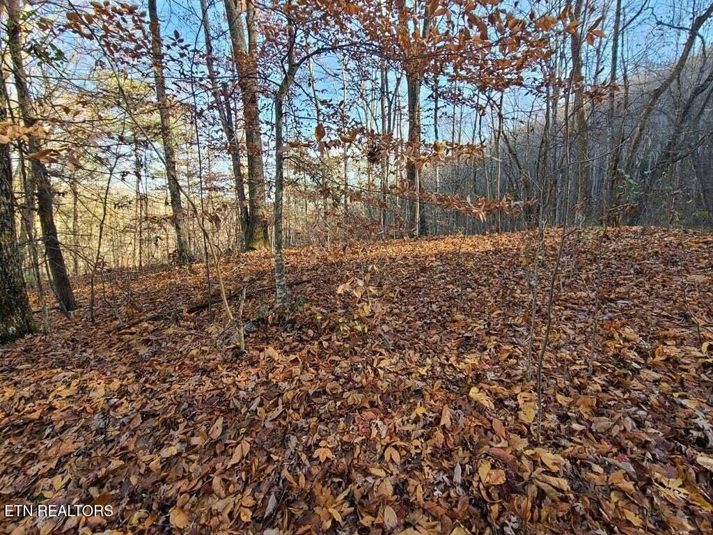 Photo of 9 Walden Flats Way, Sevierville, TN 37862 (MLS # 1288988)