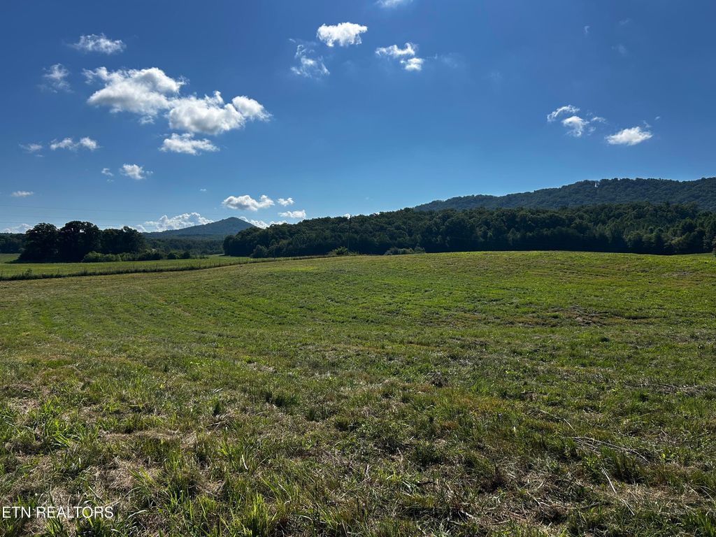Photo of 457 Reliance Rd, Tellico Plains, TN 37385 (MLS # 1309893)