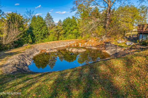 Tiny photo for 2011 Mars Hill Rd, Talbott, TN 37877 (MLS # 1323029)