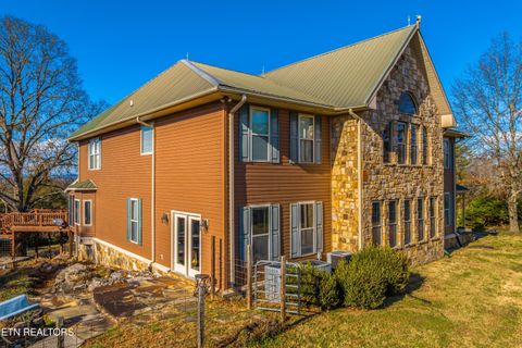 Tiny photo for 2011 Mars Hill Rd, Talbott, TN 37877 (MLS # 1323029)