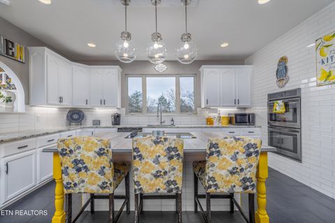 Tiny photo for 2011 Mars Hill Rd, Talbott, TN 37877 (MLS # 1323029)