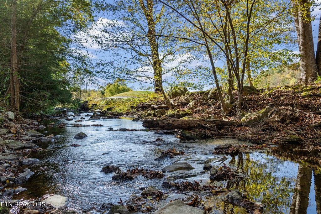 Photo of 4143 Fontaine Way, Gatlinburg, TN 37738 (MLS # 1357893)