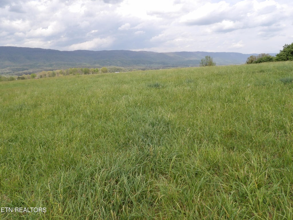 Photo of TBD Bolton Hollow Rd, Harrogate, TN 37752 (MLS # 1355795)