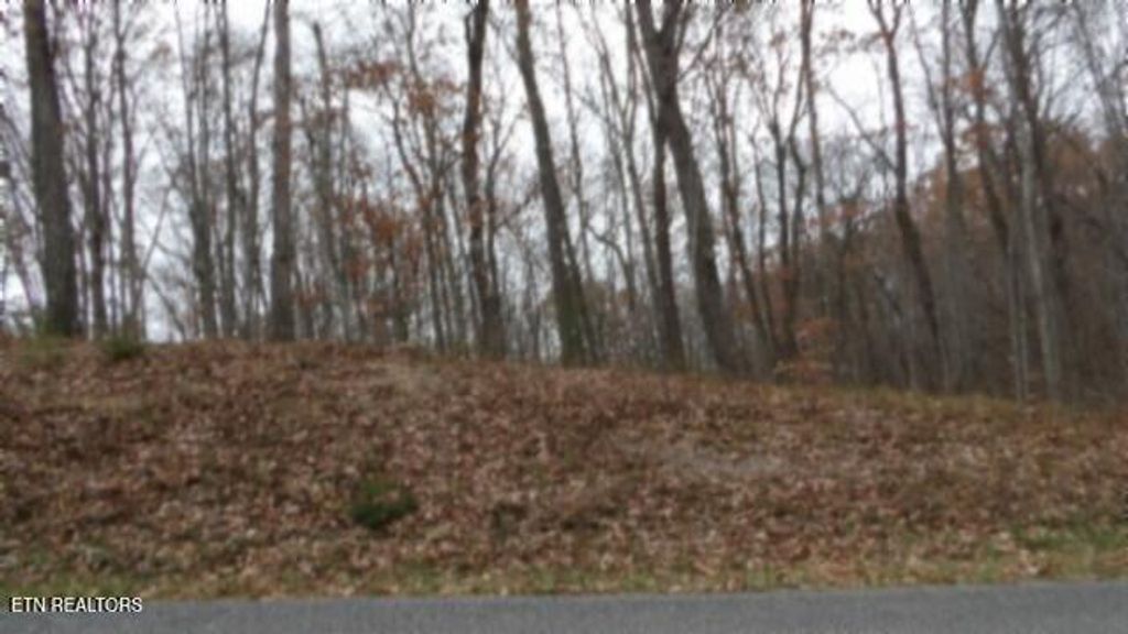 Photo of 23 Cumberland Cove Rd, Monterey, TN 38574 (MLS # 1324518)