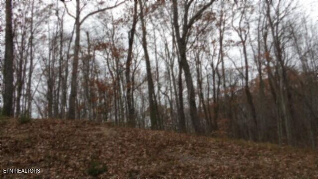 Photo of 23 Cumberland Cove Rd, Monterey, TN 38574 (MLS # 1324518)