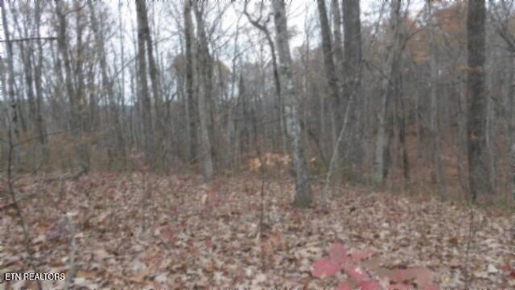 Photo of 23 Cumberland Cove Rd, Monterey, TN 38574 (MLS # 1324518)