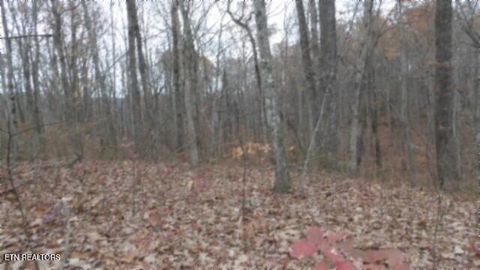 Photo of 23 Cumberland Cove Rd, Monterey, TN 38574 (MLS # 1324518)
