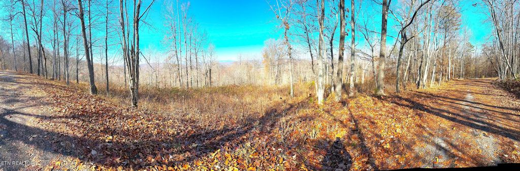 Photo of 283 Tumbling Run Estates Ests, Maynardville, TN 37807 (MLS # 1246296)