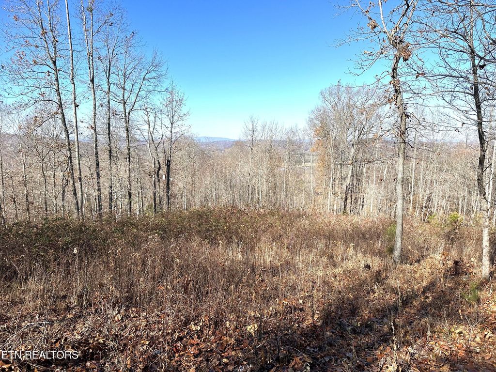 Photo of 283 Tumbling Run Estates Ests, Maynardville, TN 37807 (MLS # 1246296)