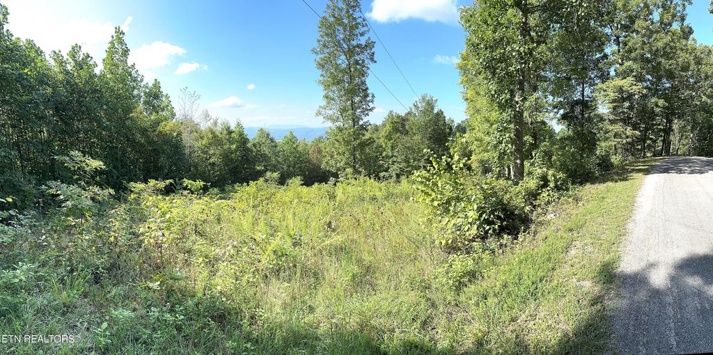 Photo of 283 Tumbling Run Estates Ests, Maynardville, TN 37807 (MLS # 1246296)