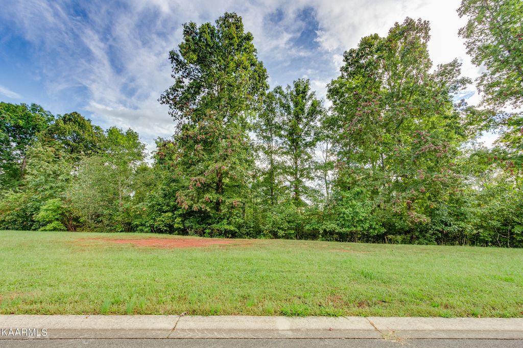 Photo of 3325 Preserve Pointe, Louisville, TN 37777 (MLS # 1217750)