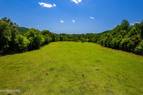 25 Acres McCammon Rd Knoxville TN 37920