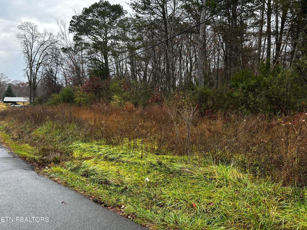 Photo of Henry St, Madisonville, TN 37354 (MLS # 1322669)