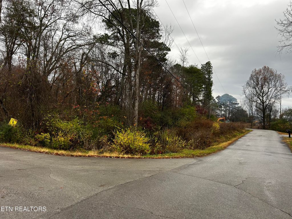 Photo of Henry St, Madisonville, TN 37354 (MLS # 1322669)