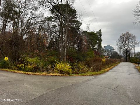Photo of Henry St, Madisonville, TN 37354 (MLS # 1322669)